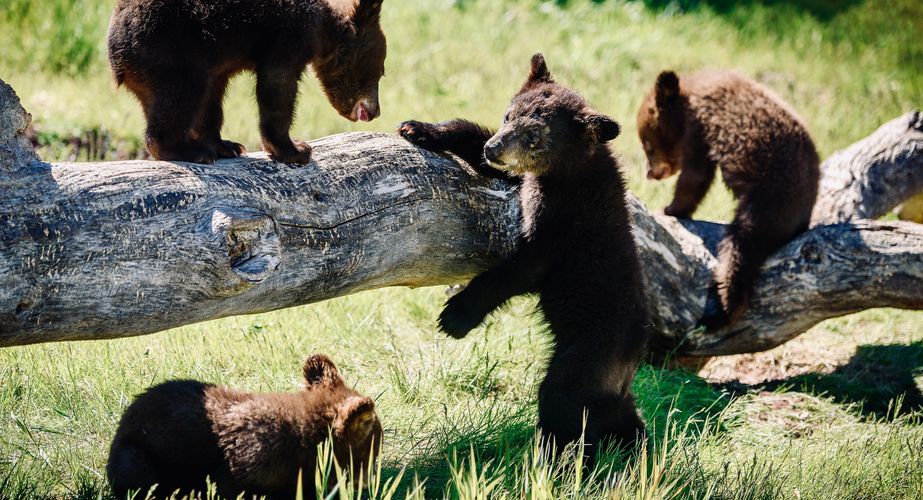 Photo by Travel South Dakota 3 Photo by Travel South Dakota 3